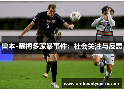 鲁本-塞梅多家暴事件：社会关注与反思