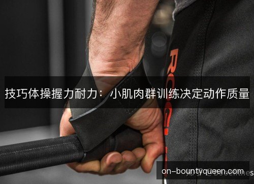 技巧体操握力耐力:小肌肉群训练决定动作质量 技巧体操握力耐力:小肌肉群训练决定动作质量